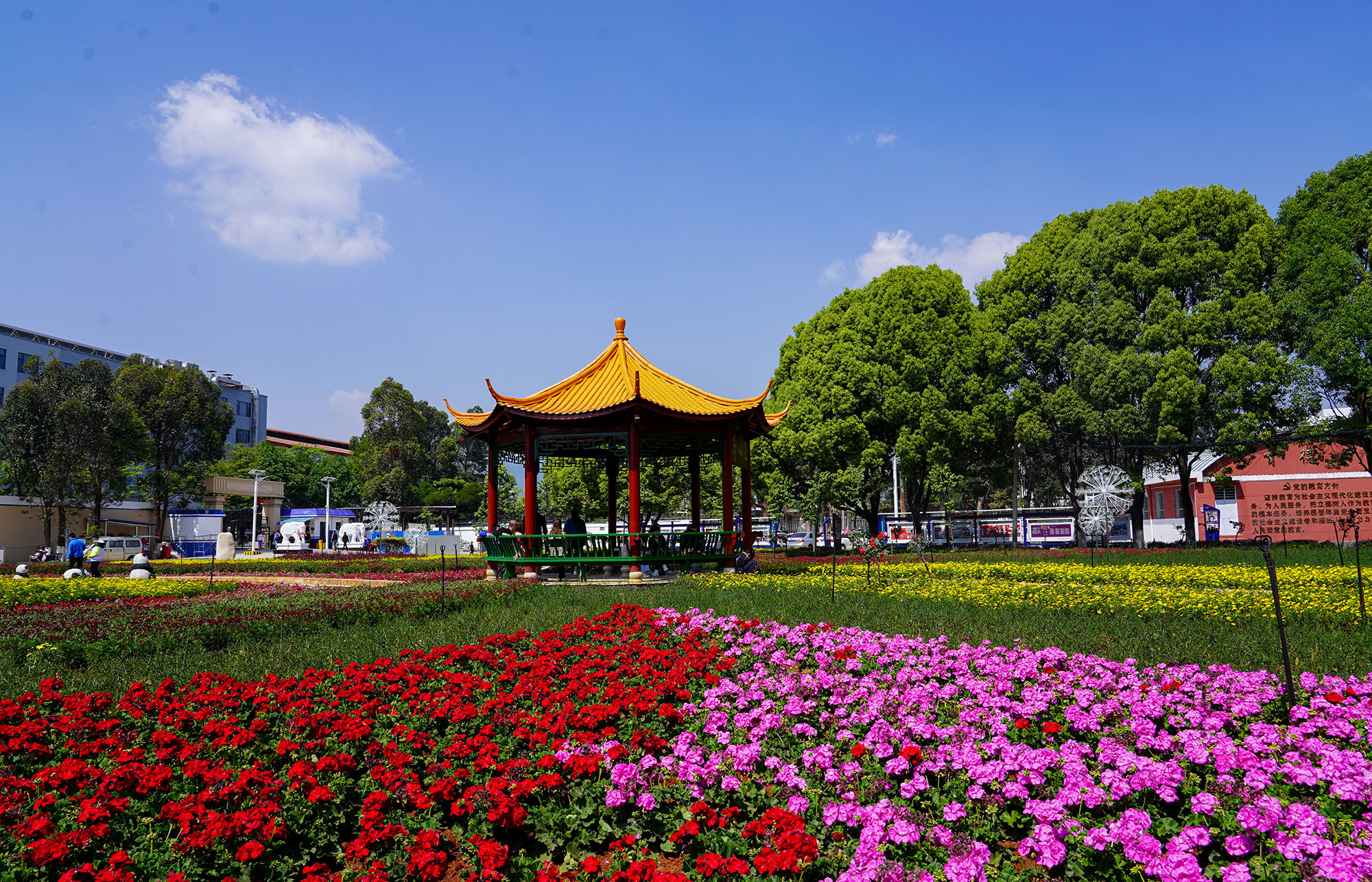 云南长水实验中学