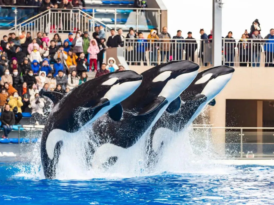 求求了，不要对TA赶尽杀绝_百科TA说