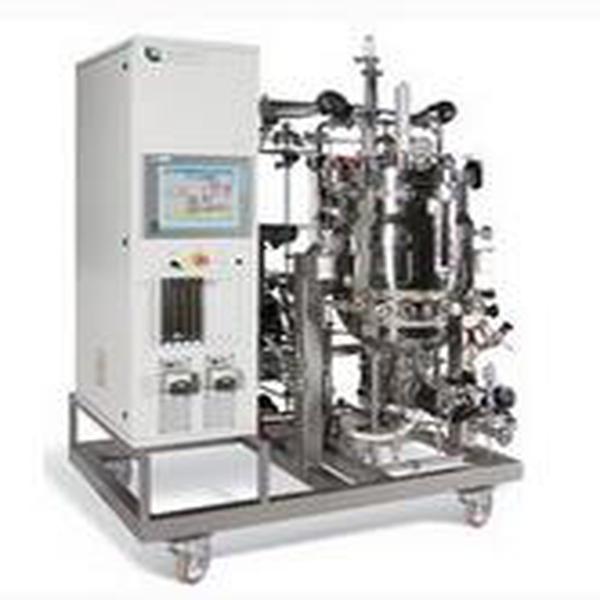 原位灭菌微生物培养罐