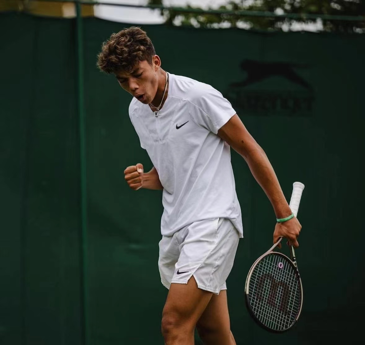 达尔文·布兰奇