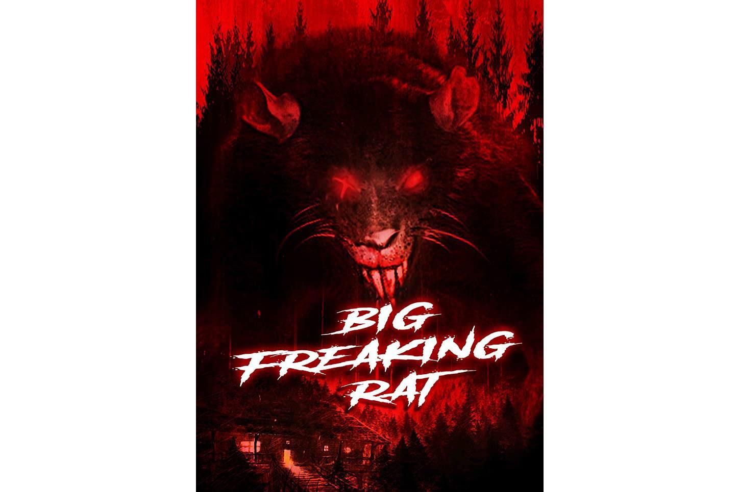  p>《巨型老鼠》是托马斯·丘吉尔执导的电影. /p>