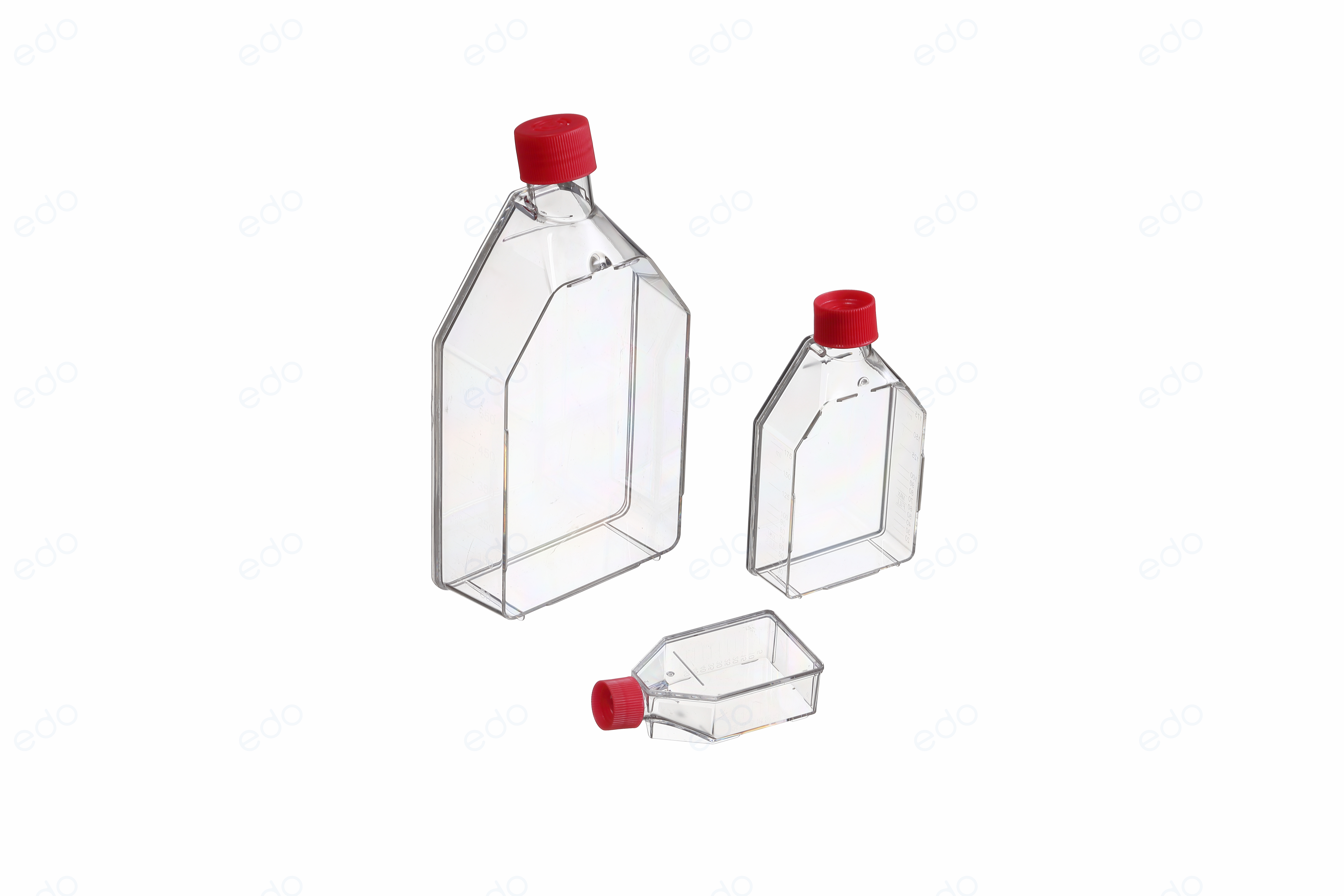 data-lemmaid="84931">细胞 /a>和组织的体外培养已成为生命研究和