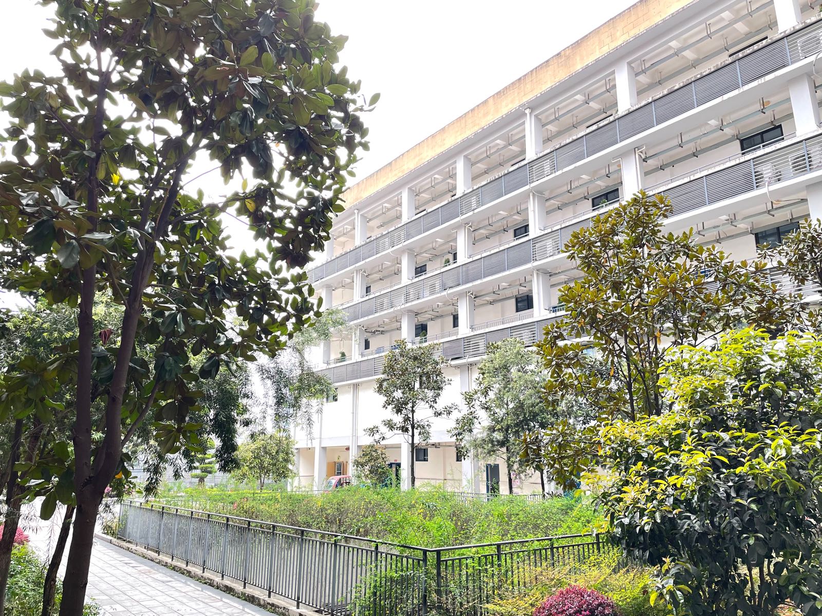 重庆市九龙坡区彩云湖小学校