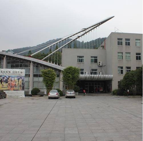 湖南师范大学美术学院_百度百科