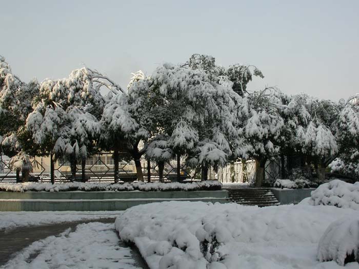  p>玉山县第二中学,简称玉山二中,是江西省重点中学,创建于1978年,原