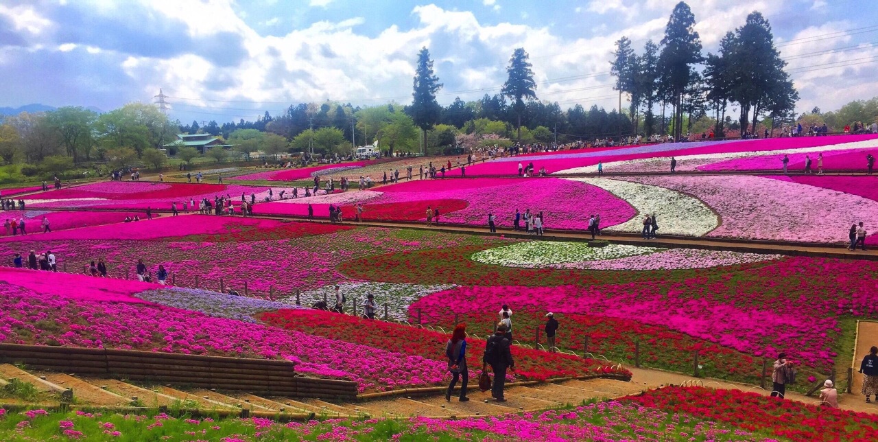  p data-id="gnwjqt3c4d">羊山公园(羊山生态森林公园)位于 a target=