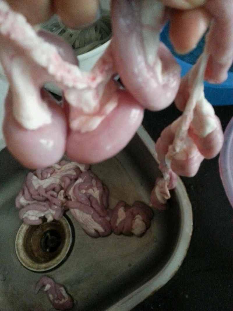 青橄榄炖猪粉肠