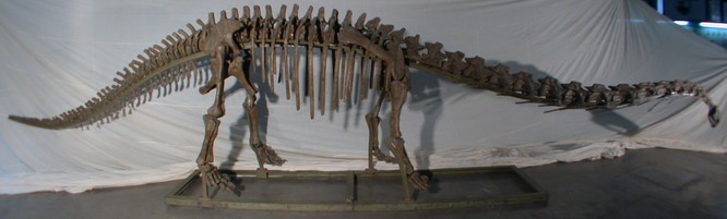 马门溪龙(mamenchisaurus)