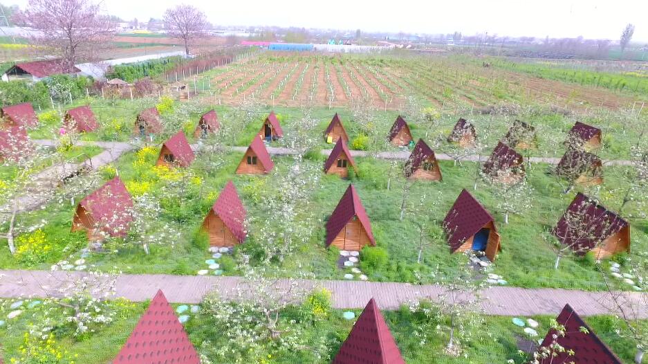 郑州艾瑞德国际学校