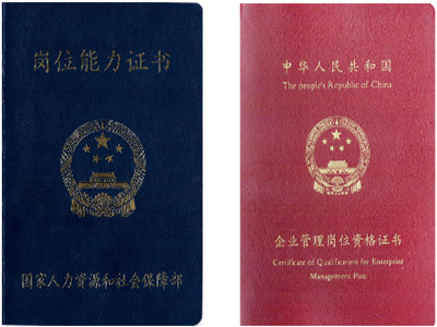 中国注册审计师