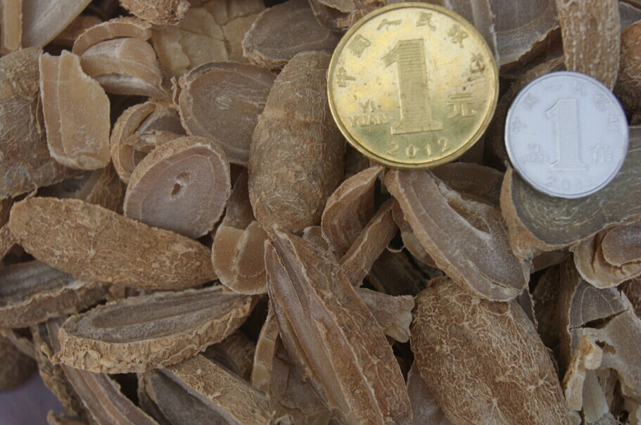 为姜科植物 a target="_blank" href="/item/温郁金curcuma rcenyujin