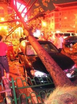 2005年第19号台风"龙王"