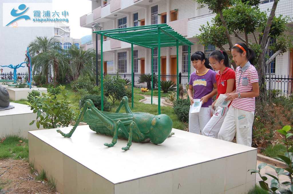  p>霞浦县第六中学,创办于1972年,是福建省二级达标中学.