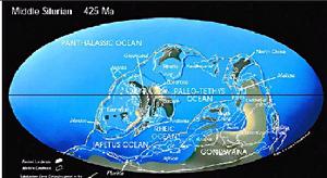  p>志留纪(silurian period)( a href="#" data-lemmaid="1655972">