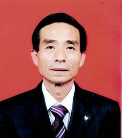 叶先端_百度百科