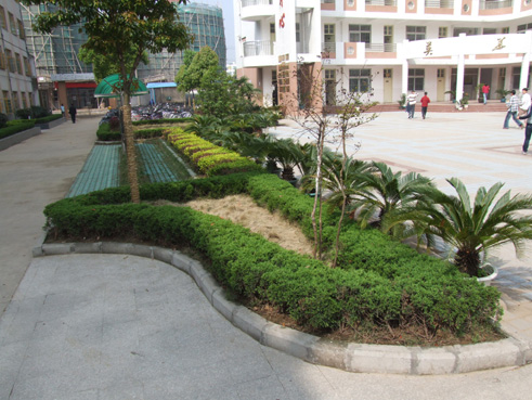  p>肥西县第三中学,简称肥西三中,创办于1978年,时值改革开放之初