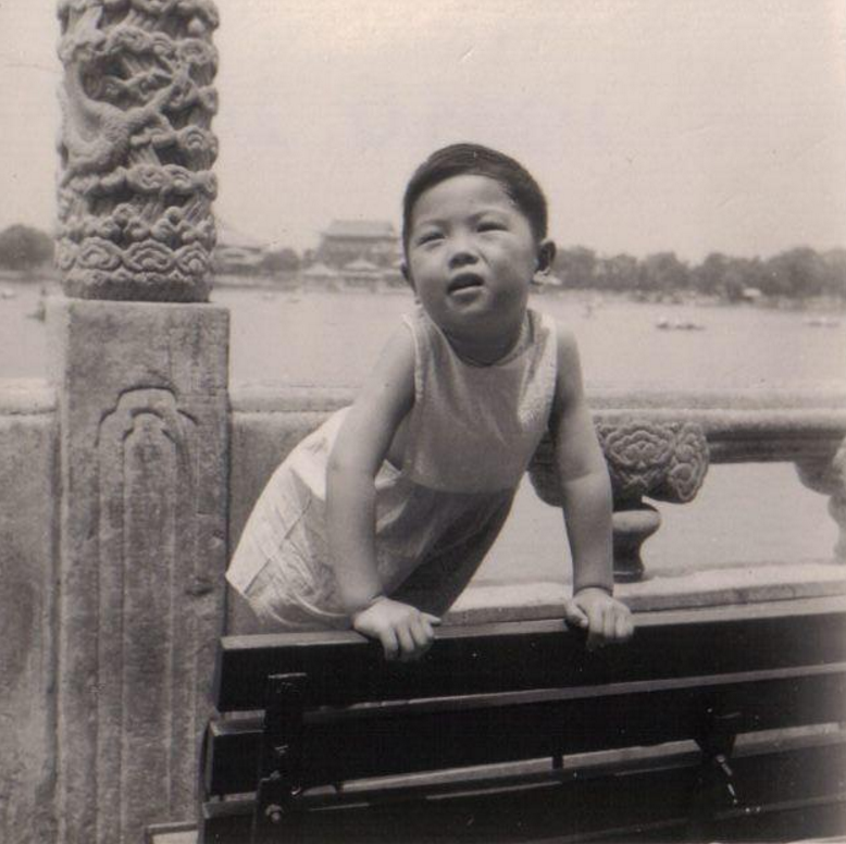  p>张卫平,1950年12月19日出生于 a href="#" data-lemmaid="128981">