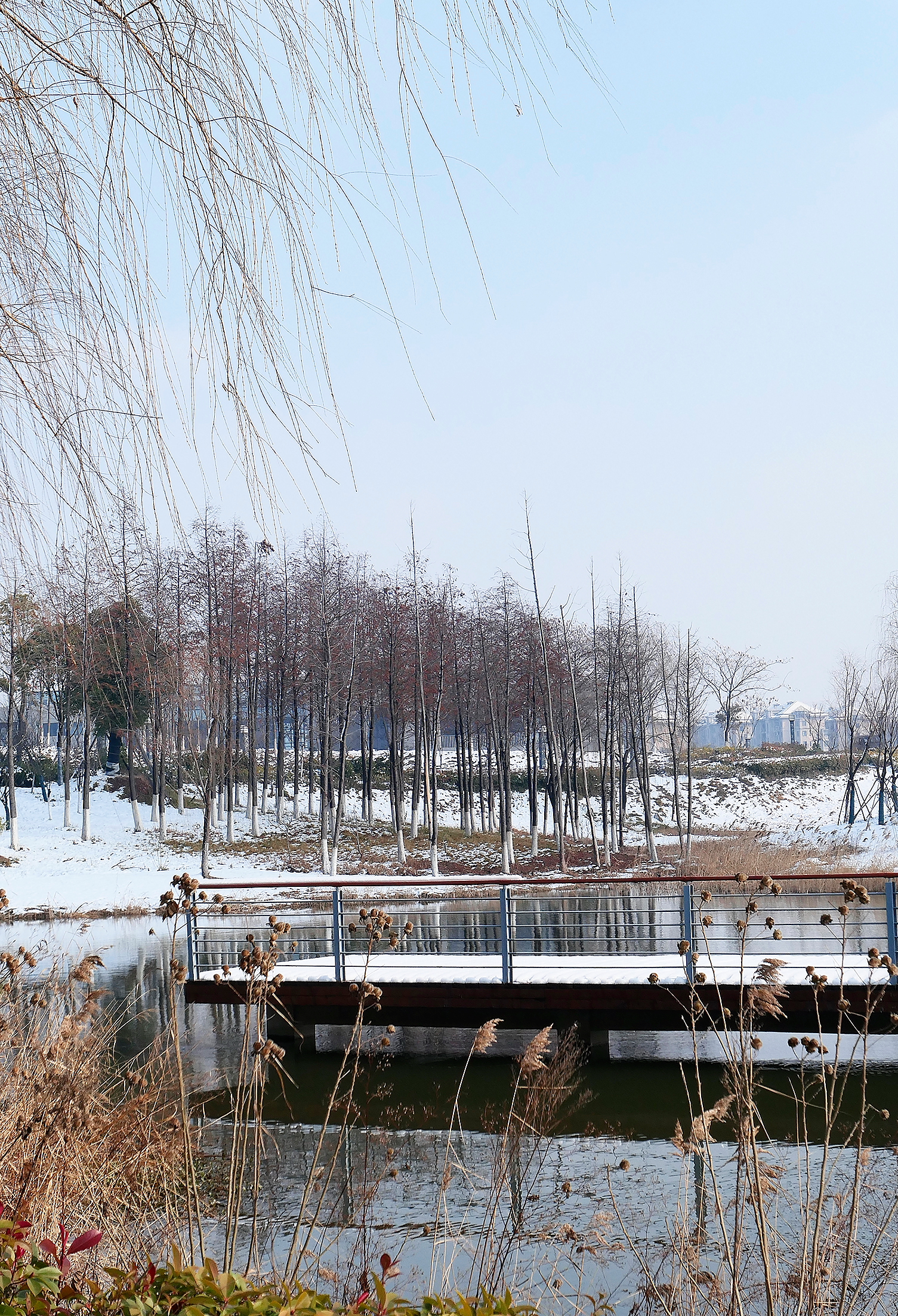 盐城大洋湾旅游风景区