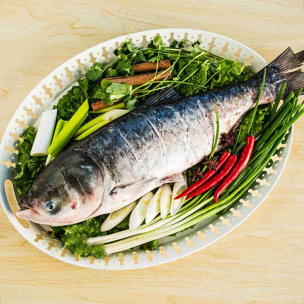 查干湖胖头鱼