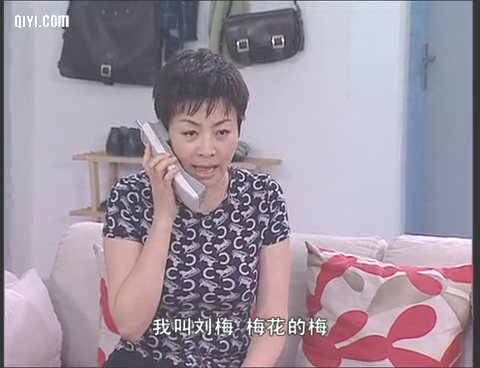 id="7974326">高亚麟 /a>, a target="_blank" href="/item/宋丹丹