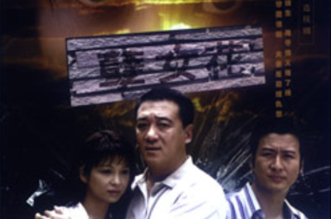  p data-id="gnwmgyced2">《孽女花》台湾22集电视连续剧 ,领衔主演