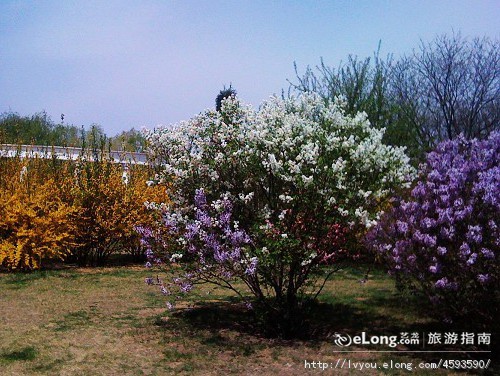  p>友谊广场位于河北省 a href="#">沧州市 /a>中捷友谊农场.