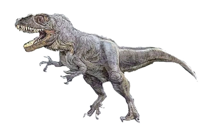 永川龙(yangchuanosaurus)