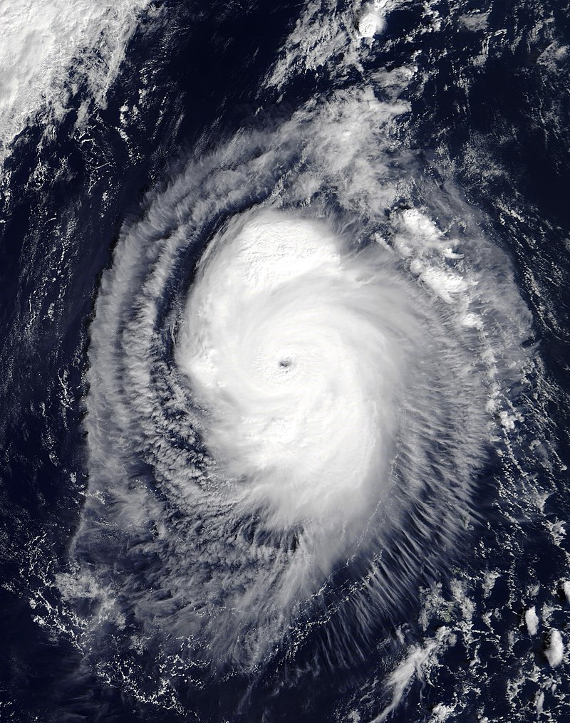 2019年太平洋台风