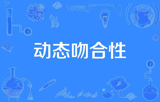  p>动态吻合性(dynamic exactness)是1990年公布的自动化科学技术名词