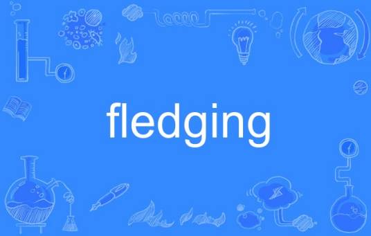 fledging_百度百科