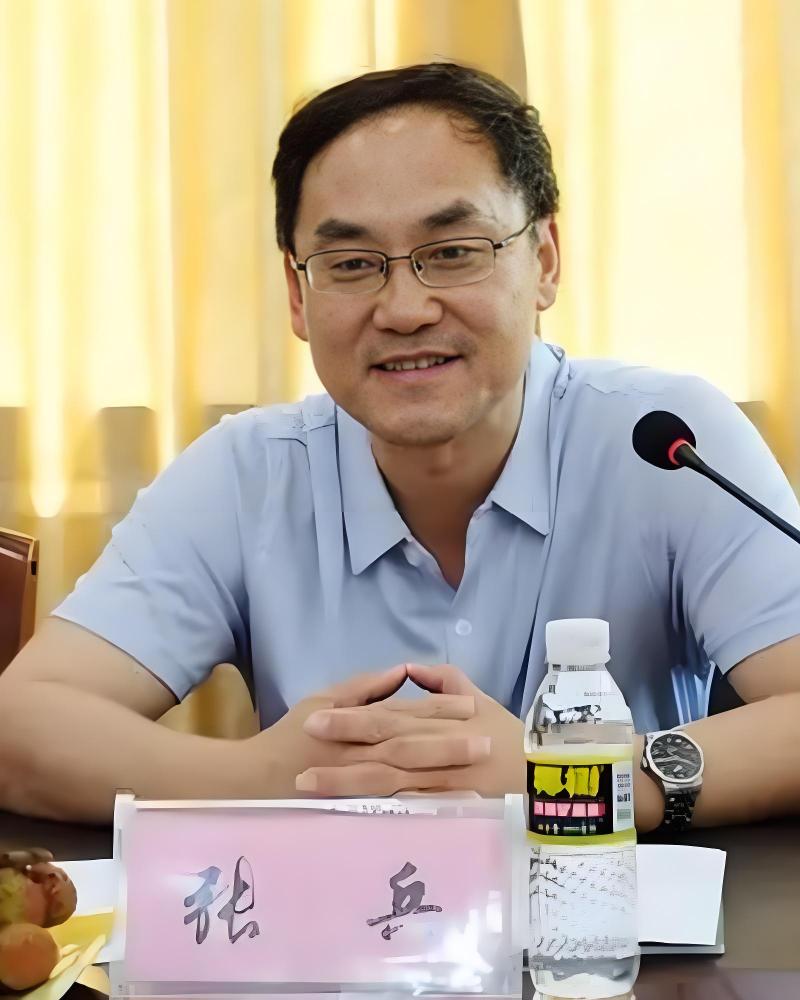 张兵（中国科学院院士，中国科学院空天信息创新研究院党委书记、副院长）_百度百科