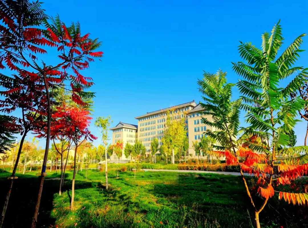 新疆政法学院