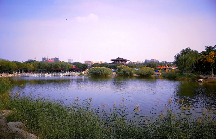  p data-id="gnwrnsp8d5">海宝公园位于有着"塞上江南"美誉的银川市, 