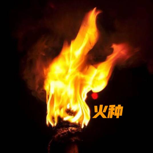 火种（陈近楠演奏的乐曲）_百度百科