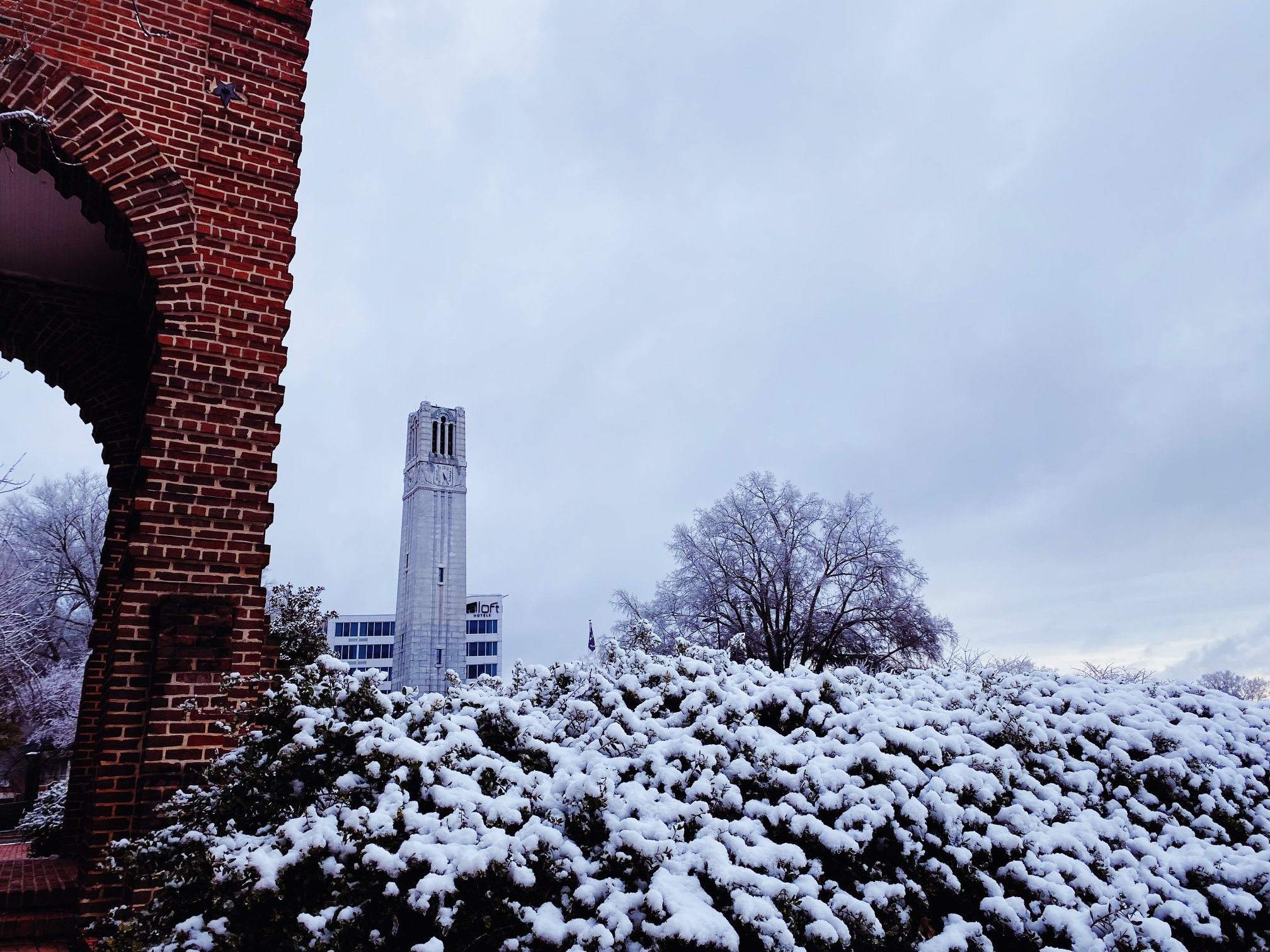 north carolina state university