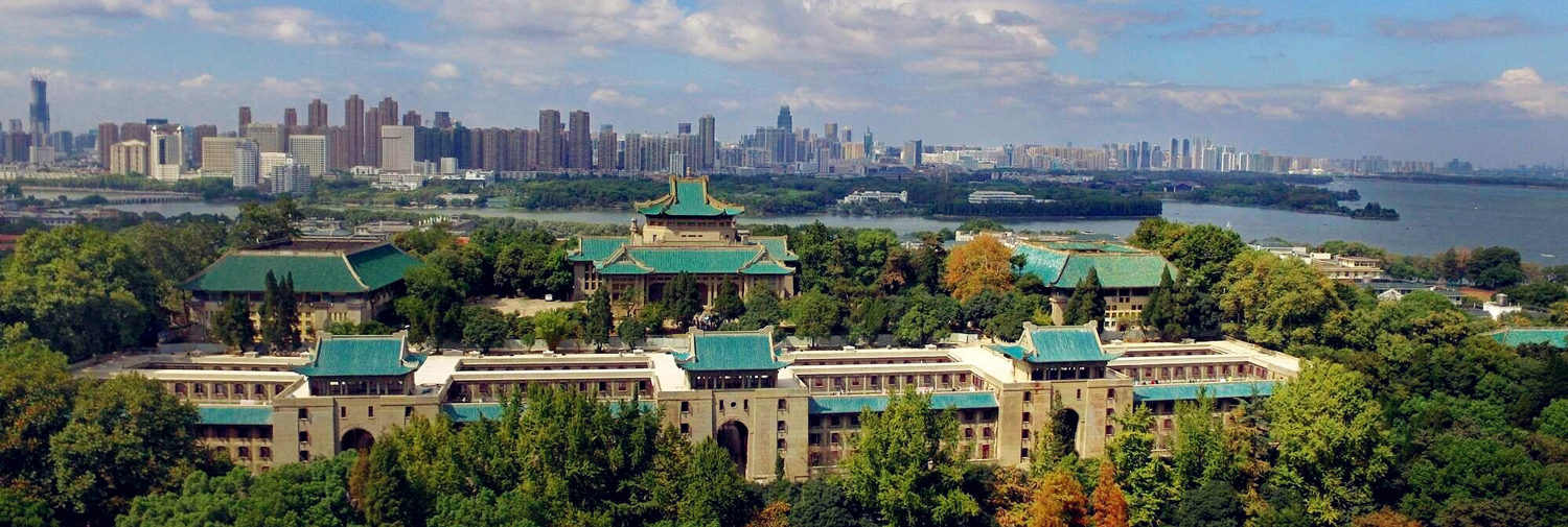 武汉大学
