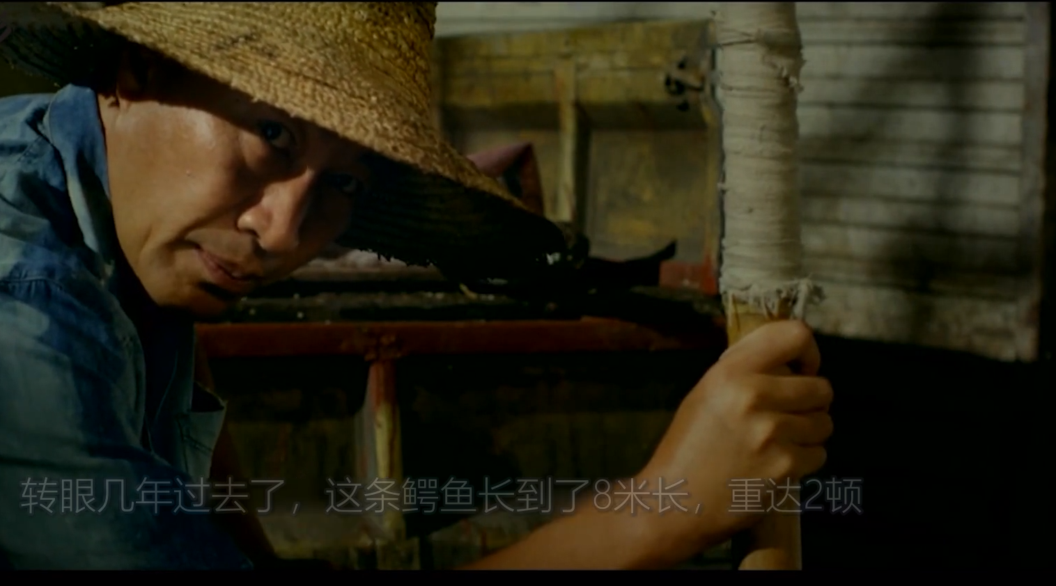 几分钟看完电影《百万巨鳄》#星知计划#