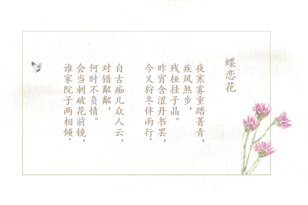 蝶恋花
