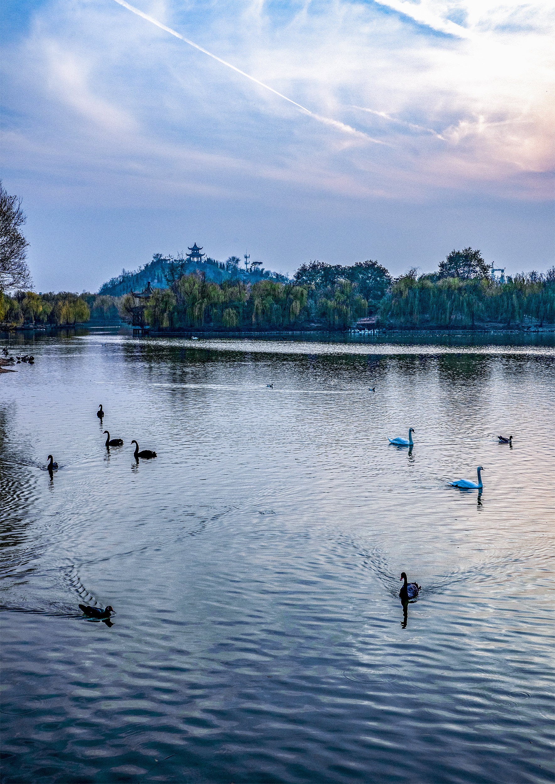  p>赵王欢乐城位于邯郸市广平县东湖公园南侧.