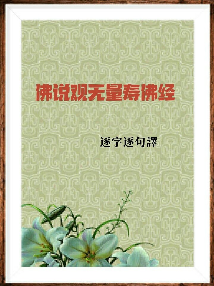 佛说无量寿经康僧铠译31—60