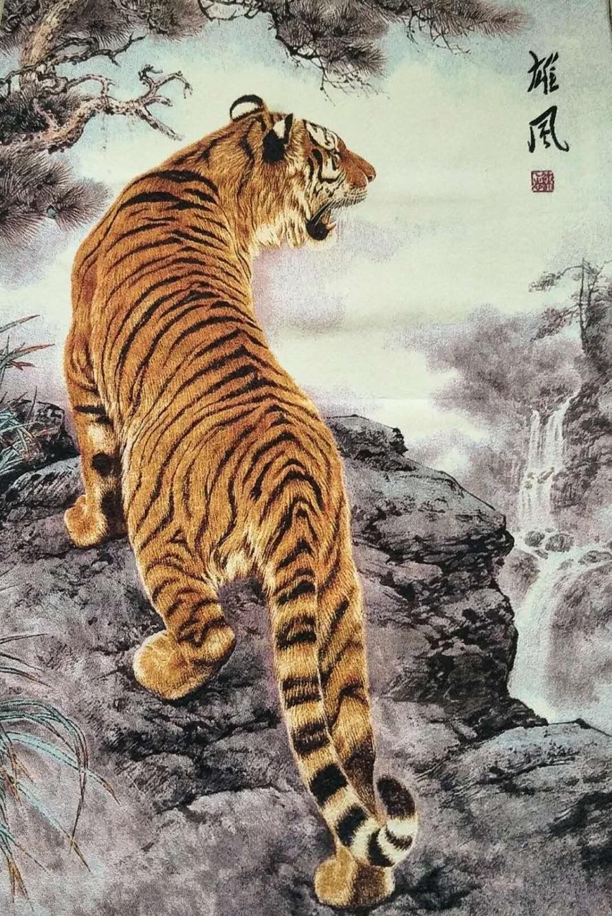 虎年什么是上山虎和下山虎 百科ta说