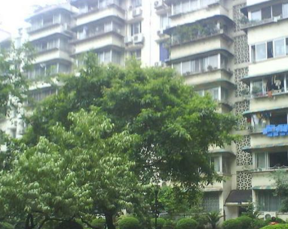 松石北路位于重庆市渝北花园新村,共计房屋272户.