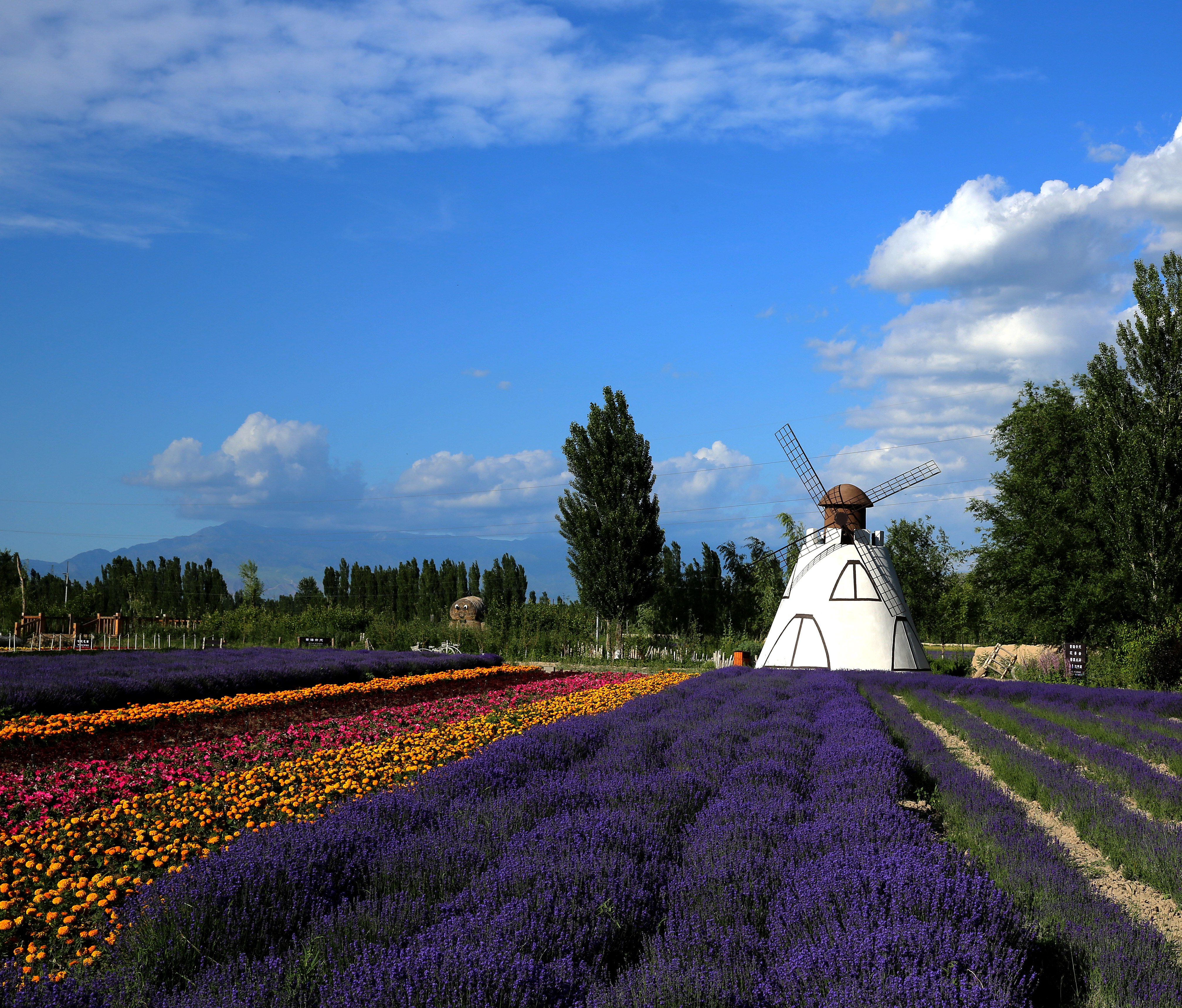  p>霍城县,隶属于 a href="#" data-lemmaid="132263">新疆 /a> a