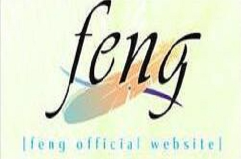 feng会社