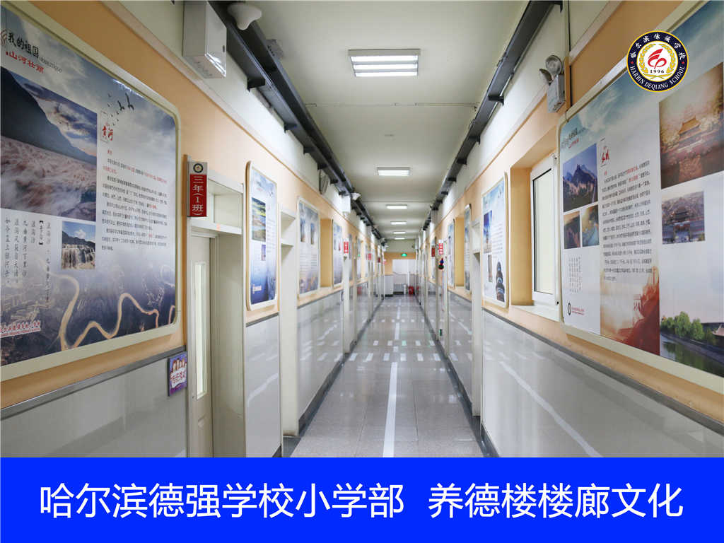  p>哈尔滨德强学校是1996年经 a target="_blank" href="/item/哈尔滨