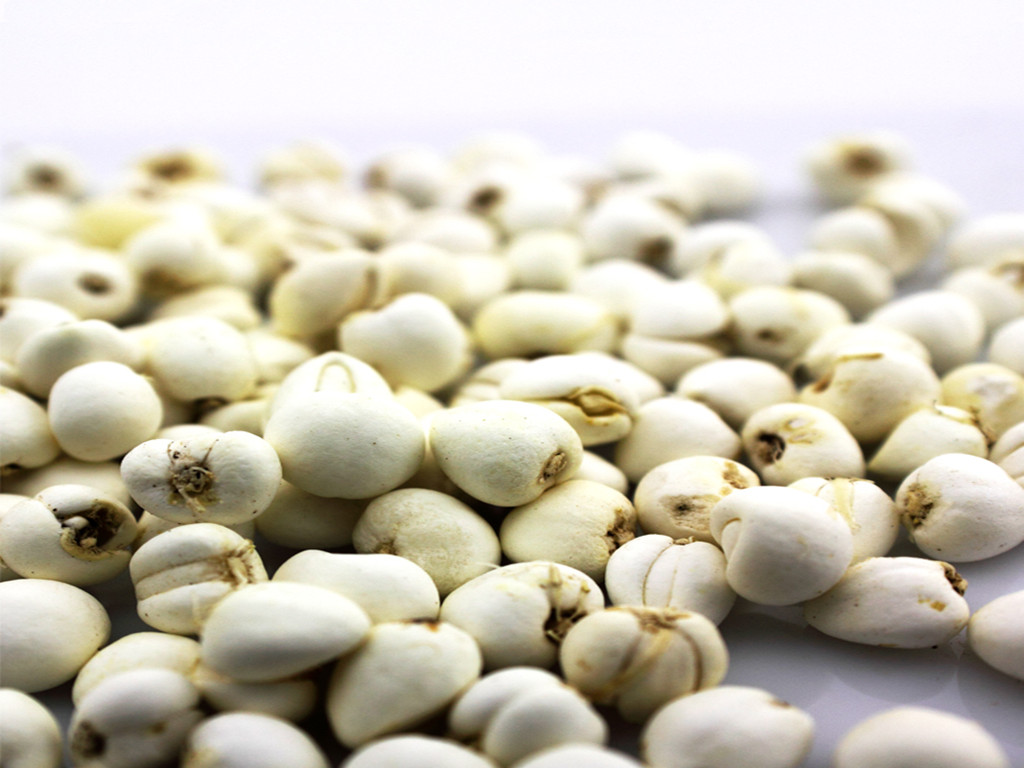  p data-id="gnwj78j4r7">青贝为 a target="