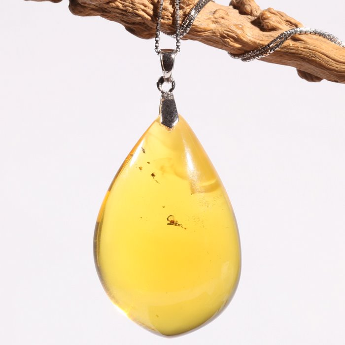  p data-id="gnwnibpsy4">柏吉尔 ( 1804～1882),德国科学家, a