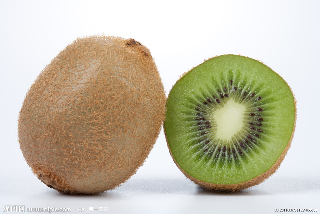 枝淡红褐色,具星散皮孔,无毛,或幼枝具淡白色微柔毛;髓白色,片状,大而