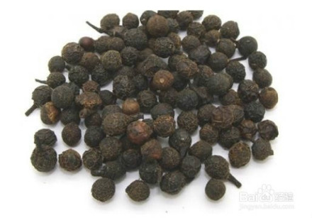 樟树子（樟科植物）_百度百科