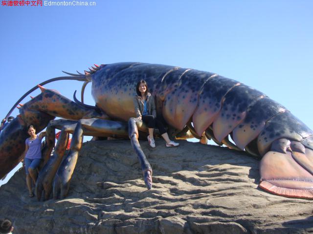  p>巨型羽翅鲎,体长约2.43米,,生活在距今约4.5亿年前.